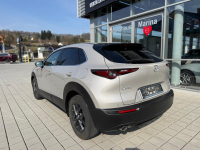 Mazda CX-30 Gebrauchtwagen Mazda CX-30 Gebrauchtwagen