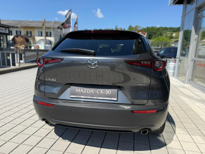 Mazda CX-30 Gebrauchtwagen