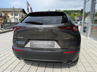 Mazda CX-30 Gebrauchtwagen