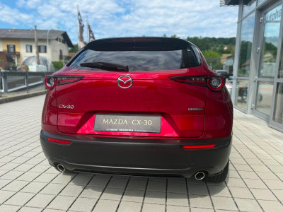 Mazda CX-30 Gebrauchtwagen Mazda CX-30 Gebrauchtwagen