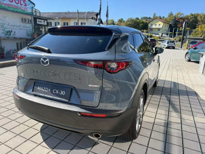 Mazda CX-30 Gebrauchtwagen Mazda CX-30 Gebrauchtwagen