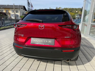 Mazda CX-30 Gebrauchtwagen