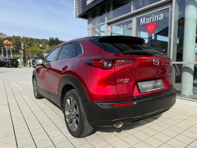 Mazda CX-30 Gebrauchtwagen