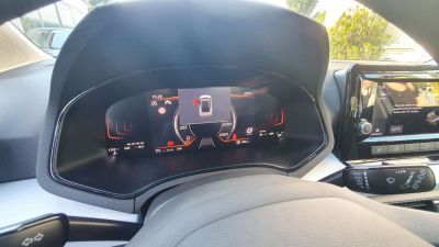 Seat Arona Tageszulassung