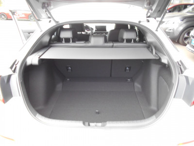 Honda Civic Vorführwagen