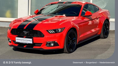 Ford Mustang Gebrauchtwagen Ford Mustang Gebrauchtwagen