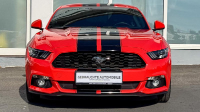Ford Mustang Gebrauchtwagen Ford Mustang Gebrauchtwagen