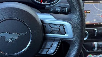 Ford Mustang Gebrauchtwagen Ford Mustang Gebrauchtwagen