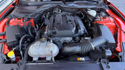 Ford Mustang Gebrauchtwagen Ford Mustang Gebrauchtwagen