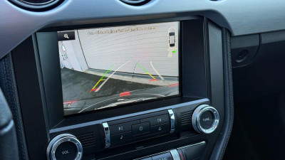 Ford Mustang Gebrauchtwagen Ford Mustang Gebrauchtwagen