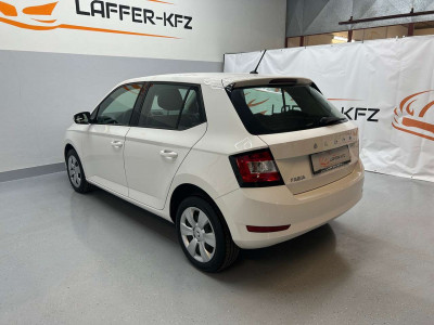 Skoda Fabia Gebrauchtwagen