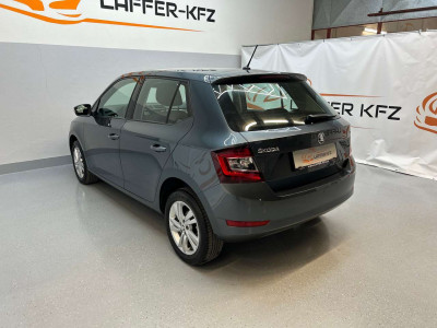 Skoda Fabia Gebrauchtwagen Skoda Fabia Gebrauchtwagen