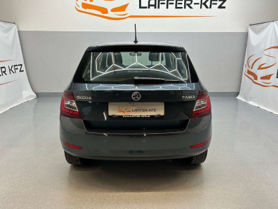 Skoda Fabia Gebrauchtwagen Skoda Fabia Gebrauchtwagen