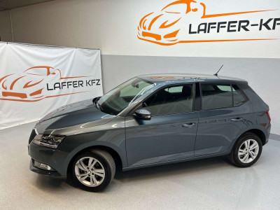 Skoda Fabia Gebrauchtwagen Skoda Fabia Gebrauchtwagen