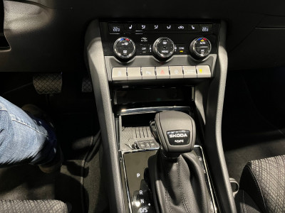 Skoda Karoq Gebrauchtwagen