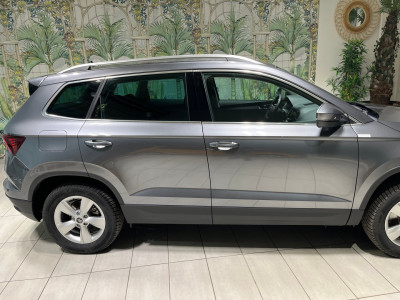 Skoda Karoq Gebrauchtwagen