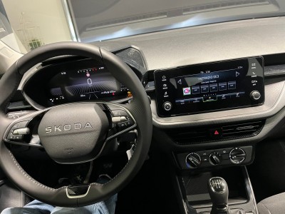 Skoda Fabia Gebrauchtwagen