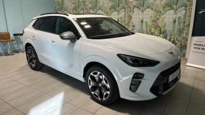 Cupra Terramar Gebrauchtwagen