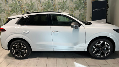 Cupra Terramar Gebrauchtwagen