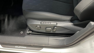 Cupra Terramar Gebrauchtwagen