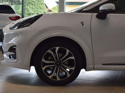 Ford Puma Gebrauchtwagen