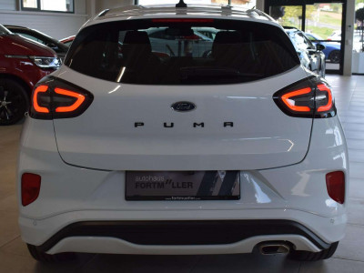 Ford Puma Gebrauchtwagen