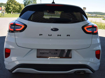 Ford Puma Gebrauchtwagen