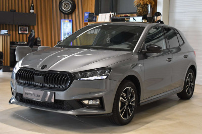 Skoda Fabia Gebrauchtwagen Skoda Fabia Gebrauchtwagen