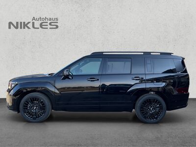 Hyundai Santa Fe Tageszulassung