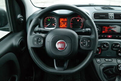 Fiat Panda Gebrauchtwagen