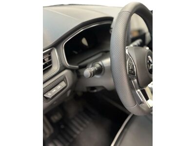 Mitsubishi Grandis Vorführwagen