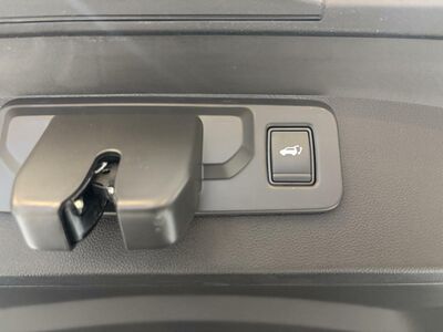 Mitsubishi Grandis Vorführwagen