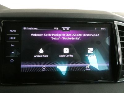 Skoda Karoq Gebrauchtwagen