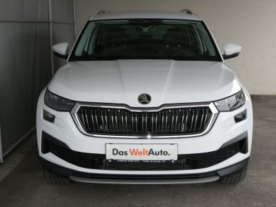 Skoda Kodiaq Gebrauchtwagen Skoda Kodiaq Gebrauchtwagen