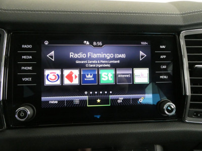 Skoda Kodiaq Gebrauchtwagen