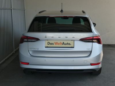 Skoda Octavia Gebrauchtwagen Skoda Octavia Gebrauchtwagen