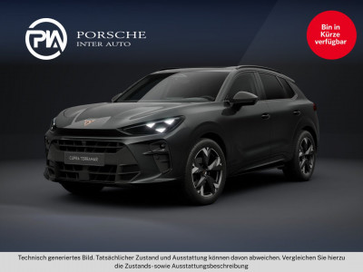 Cupra Terramar Gebrauchtwagen