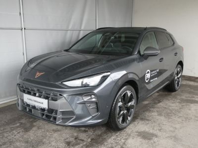 Cupra Terramar Gebrauchtwagen Cupra Terramar Gebrauchtwagen