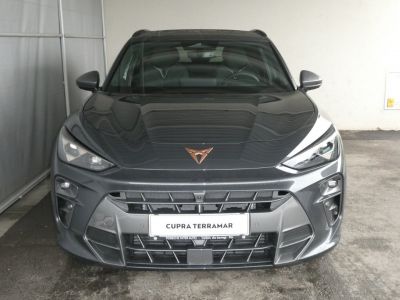 Cupra Terramar Gebrauchtwagen Cupra Terramar Gebrauchtwagen