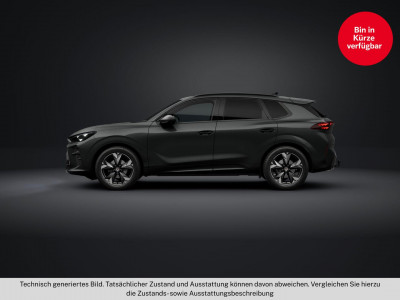 Cupra Terramar Gebrauchtwagen