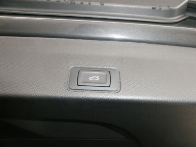 Cupra Terramar Gebrauchtwagen Cupra Terramar Gebrauchtwagen