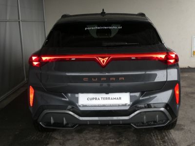 Cupra Terramar Gebrauchtwagen Cupra Terramar Gebrauchtwagen