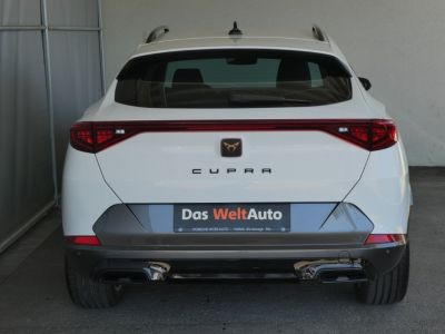 Cupra Formentor Gebrauchtwagen Cupra Formentor Gebrauchtwagen