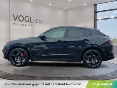 Alfa Romeo Stelvio Neuwagen