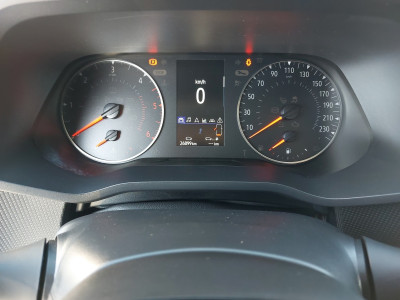 Renault Trafic Gebrauchtwagen