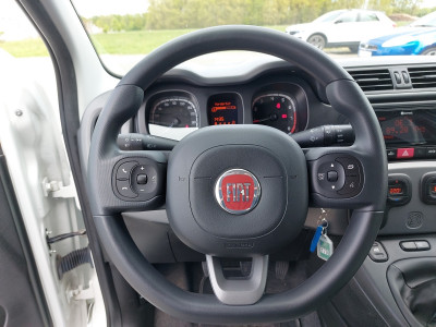 Fiat Panda Gebrauchtwagen