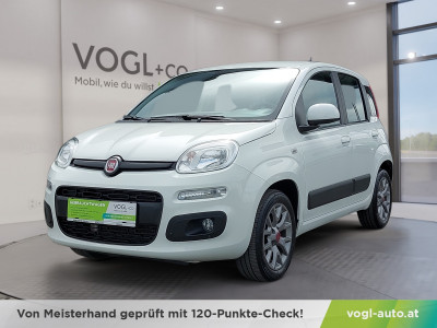 Fiat Panda Gebrauchtwagen