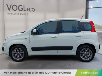 Fiat Panda Gebrauchtwagen