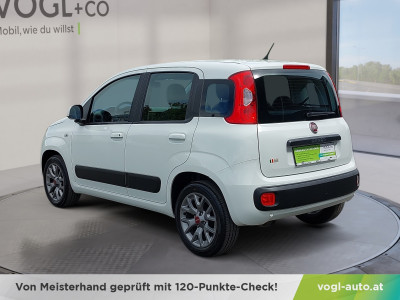 Fiat Panda Gebrauchtwagen