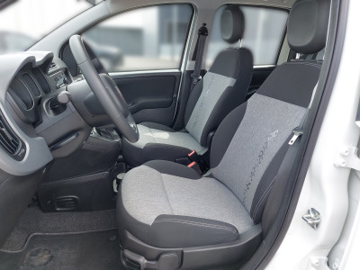 Fiat Panda Gebrauchtwagen
